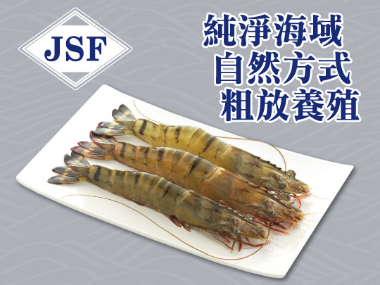 JSF天然草蝦