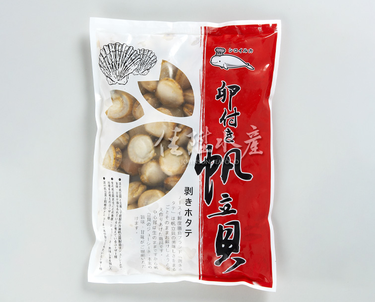 小白鯨帆立貝