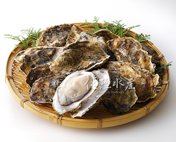 Whole Shell Oyster