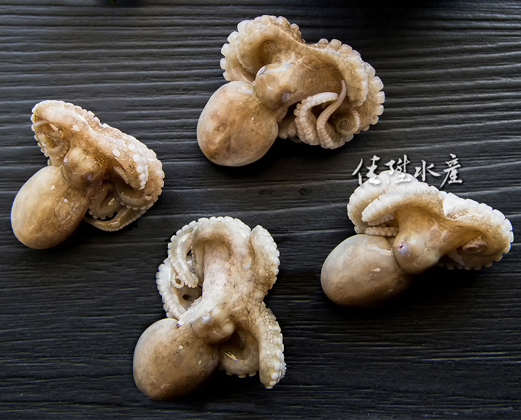 生凍小章魚
