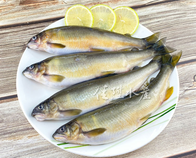 香魚