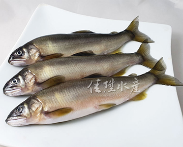 香魚