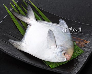 Silver Pomfret/Chinese Pomfret