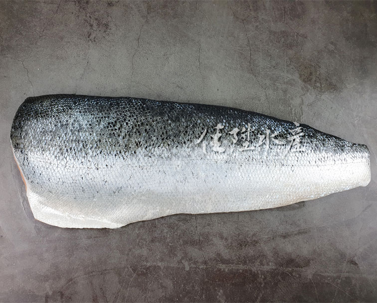  鮭魚清肉_皮面