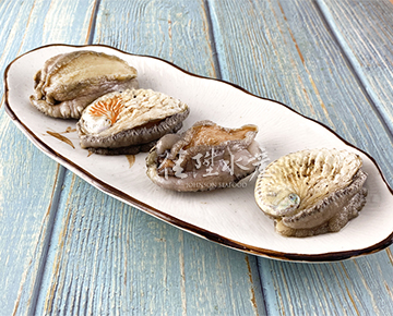 South Africa Abalone